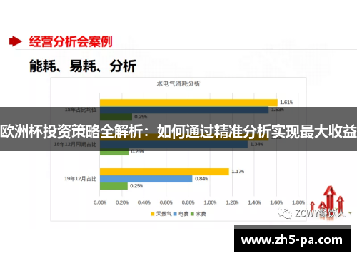 欧洲杯投资策略全解析：如何通过精准分析实现最大收益