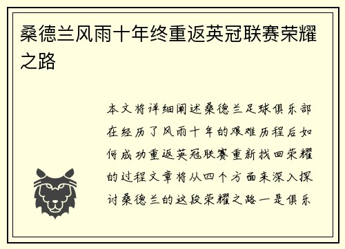 桑德兰风雨十年终重返英冠联赛荣耀之路